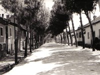 Kenan Evren Caddesi